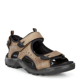Overview image: Ecco Offroad