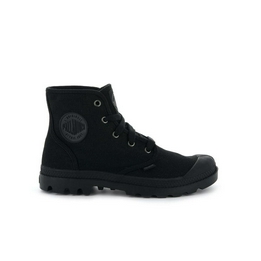 Overview image: Palladium Pampa HI