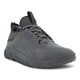 Overview image: Ecco MX M LOW