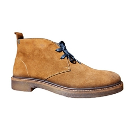 Overview image: Jenszen veterboot