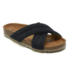 Overview image: Verbenas Riot Velour