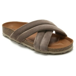 Overview image: Verbenas Riot Velour